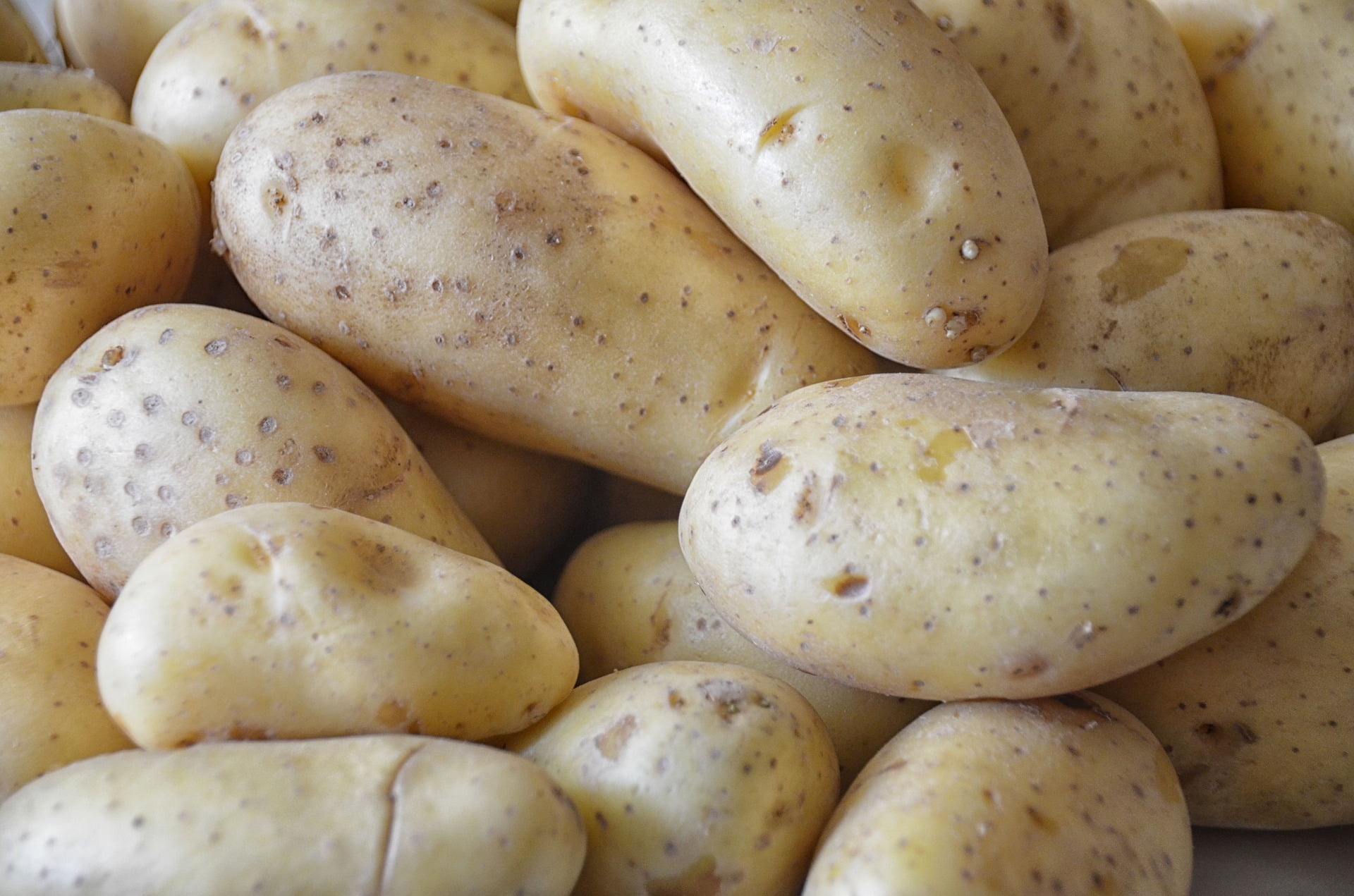 Patate bollite, fritte, surgelate e germogliate: quando ...